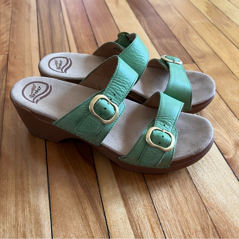 Dansko Clogs